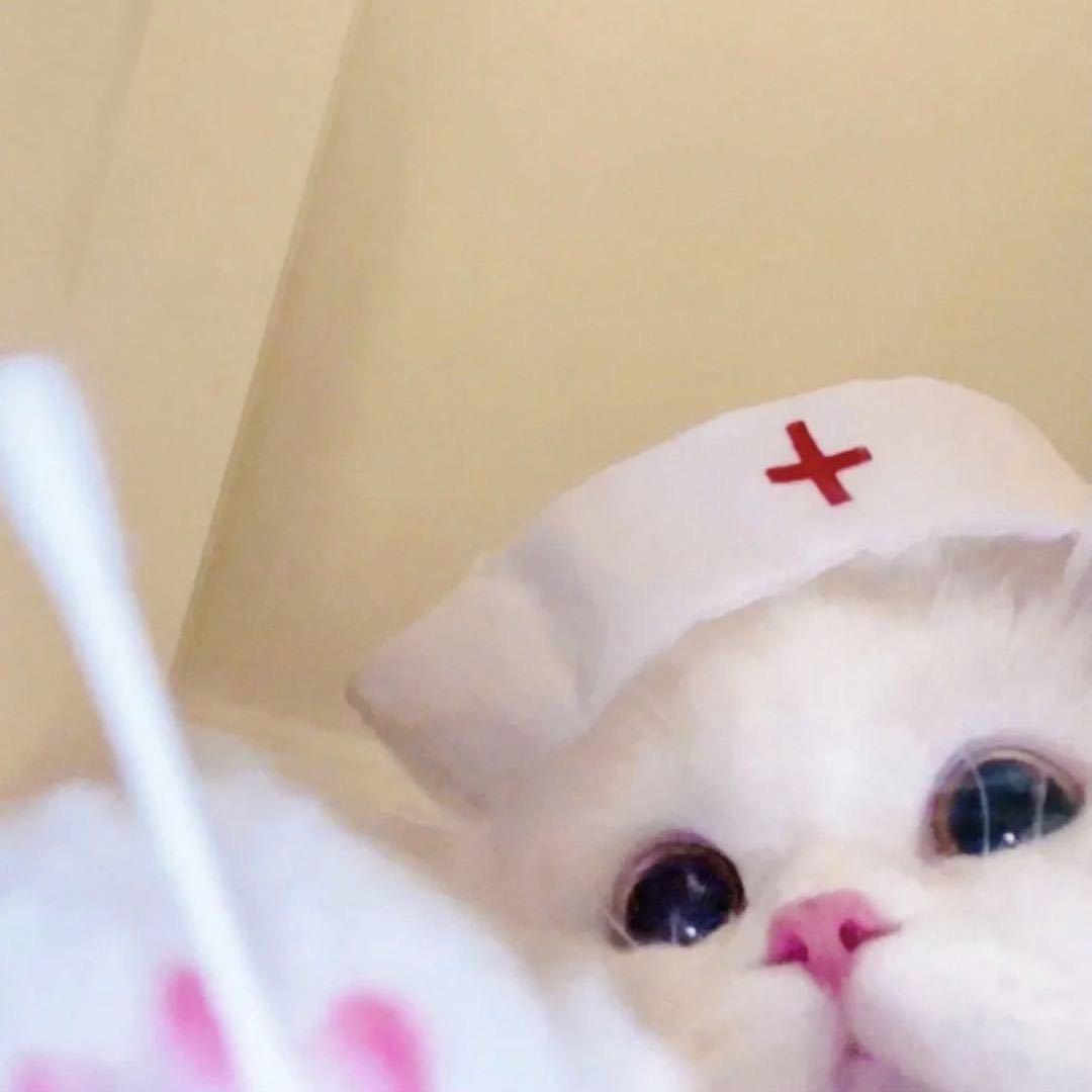 悠悠koi