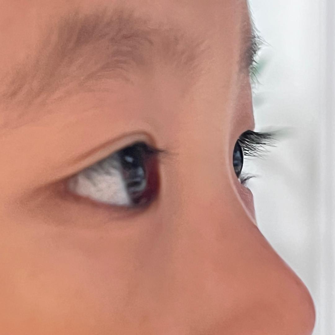 陳柒柒🧸🇵🇸