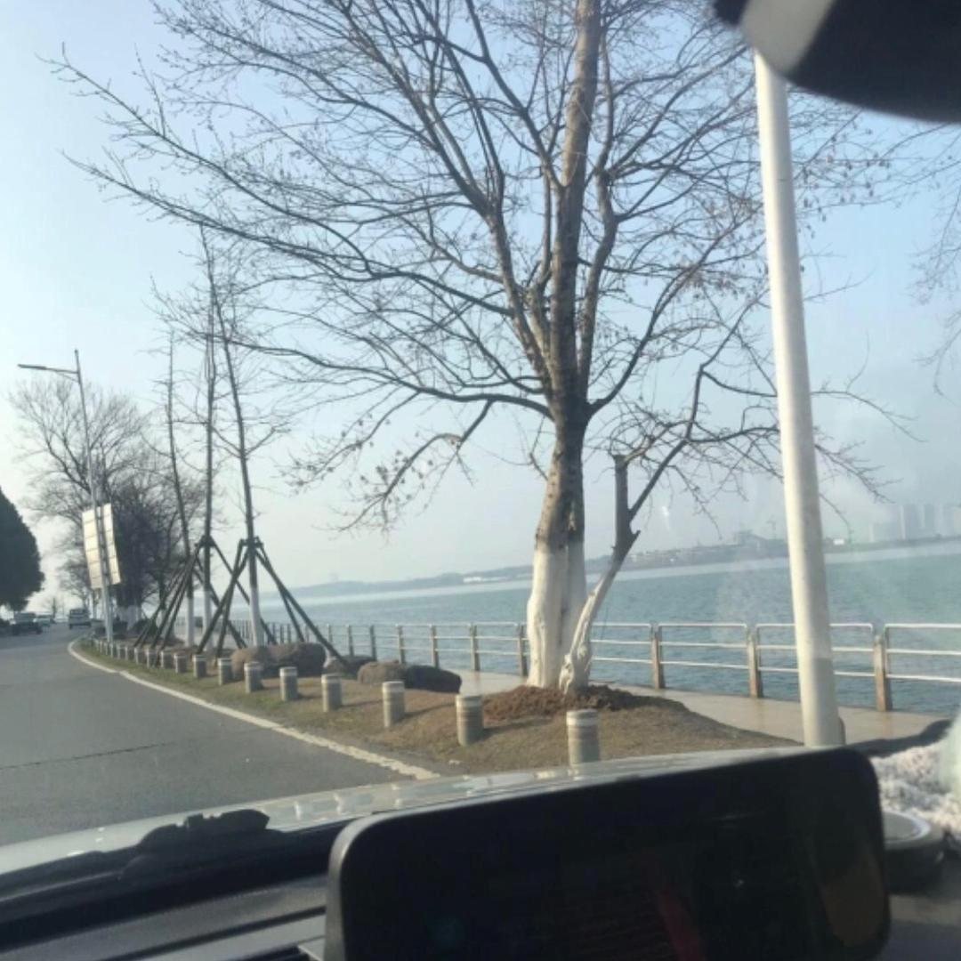 三镇别墅扫楼人