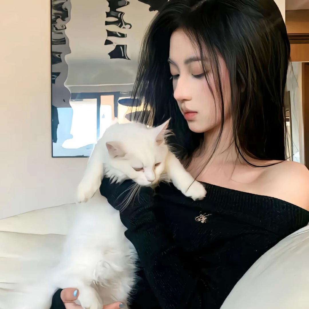 养只猫^