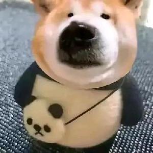 爱吃食物的男孩子