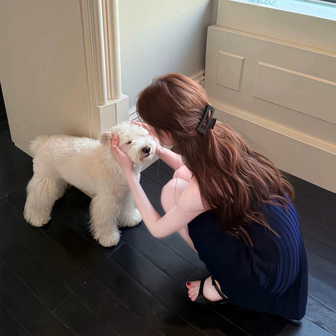 小🐑