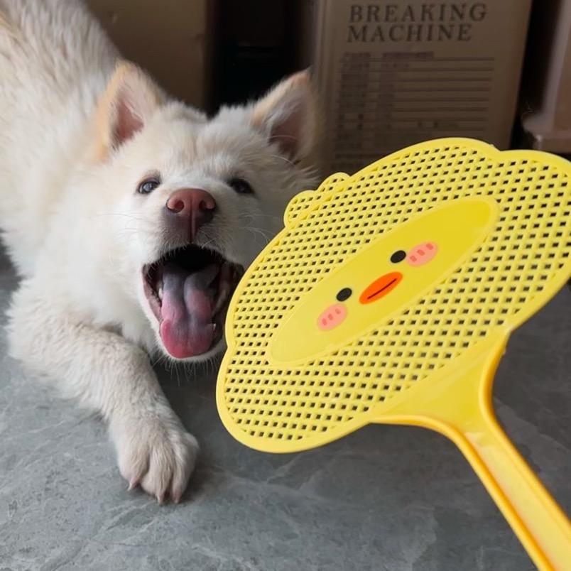 馒头哒汪૮ • ﻌ - ა