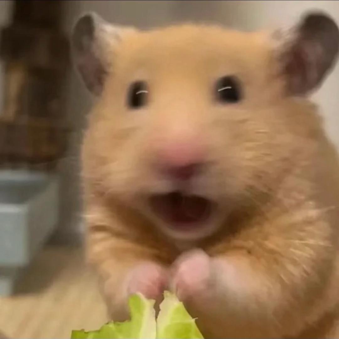 锋