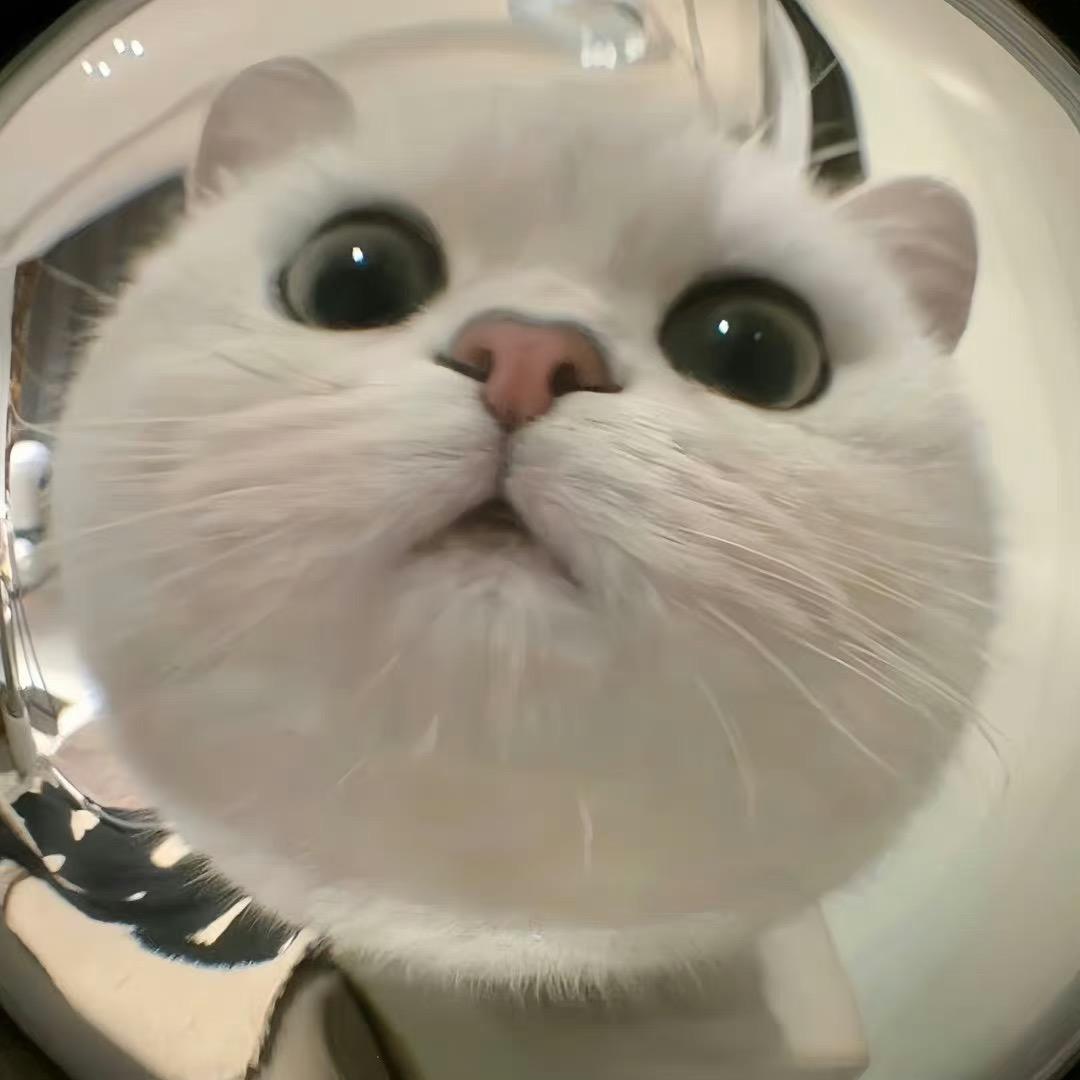 乐意李💫