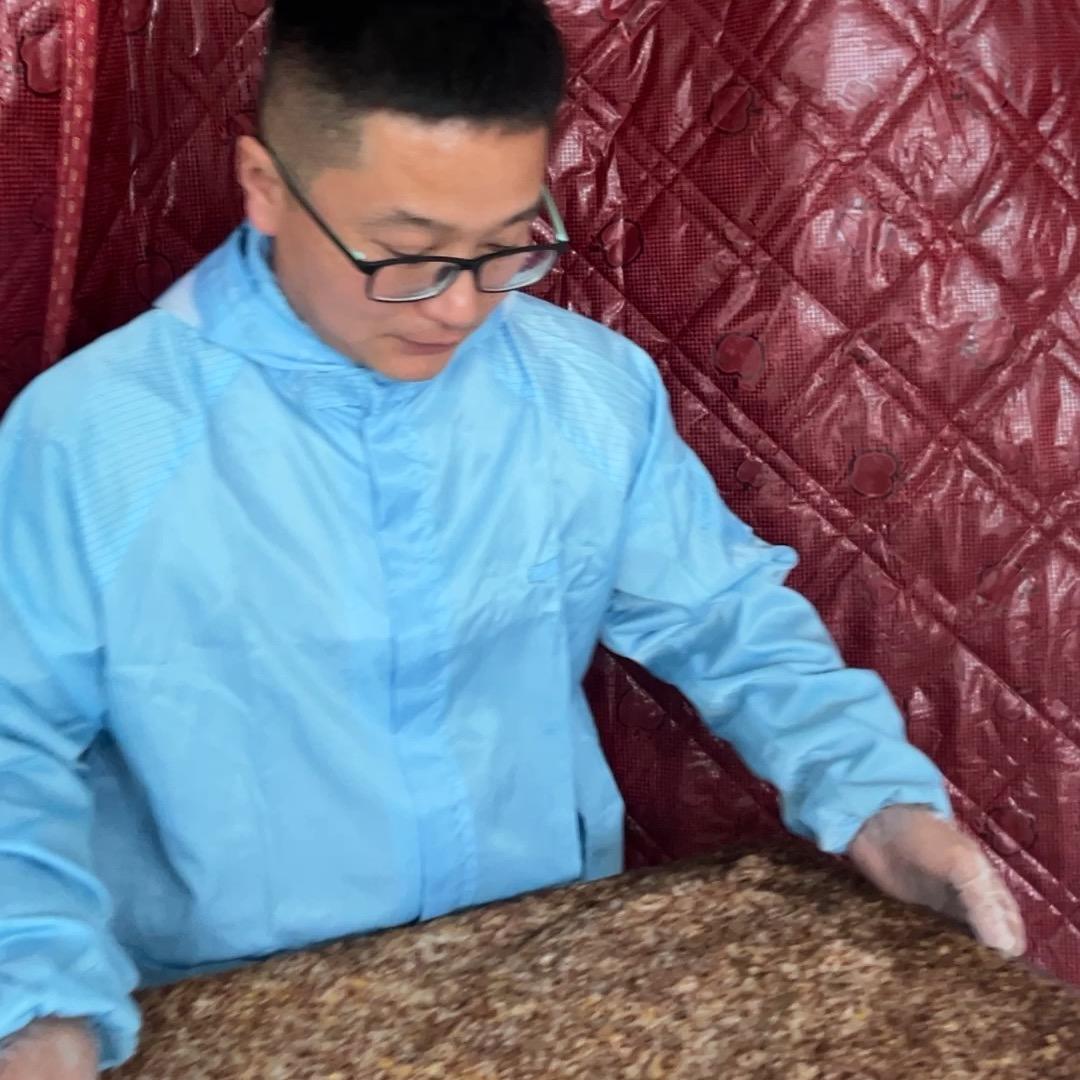 久久强（青麦碾转哥）