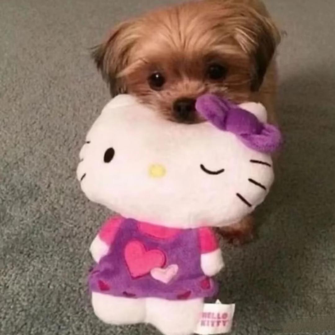 士多啤梨饰物集