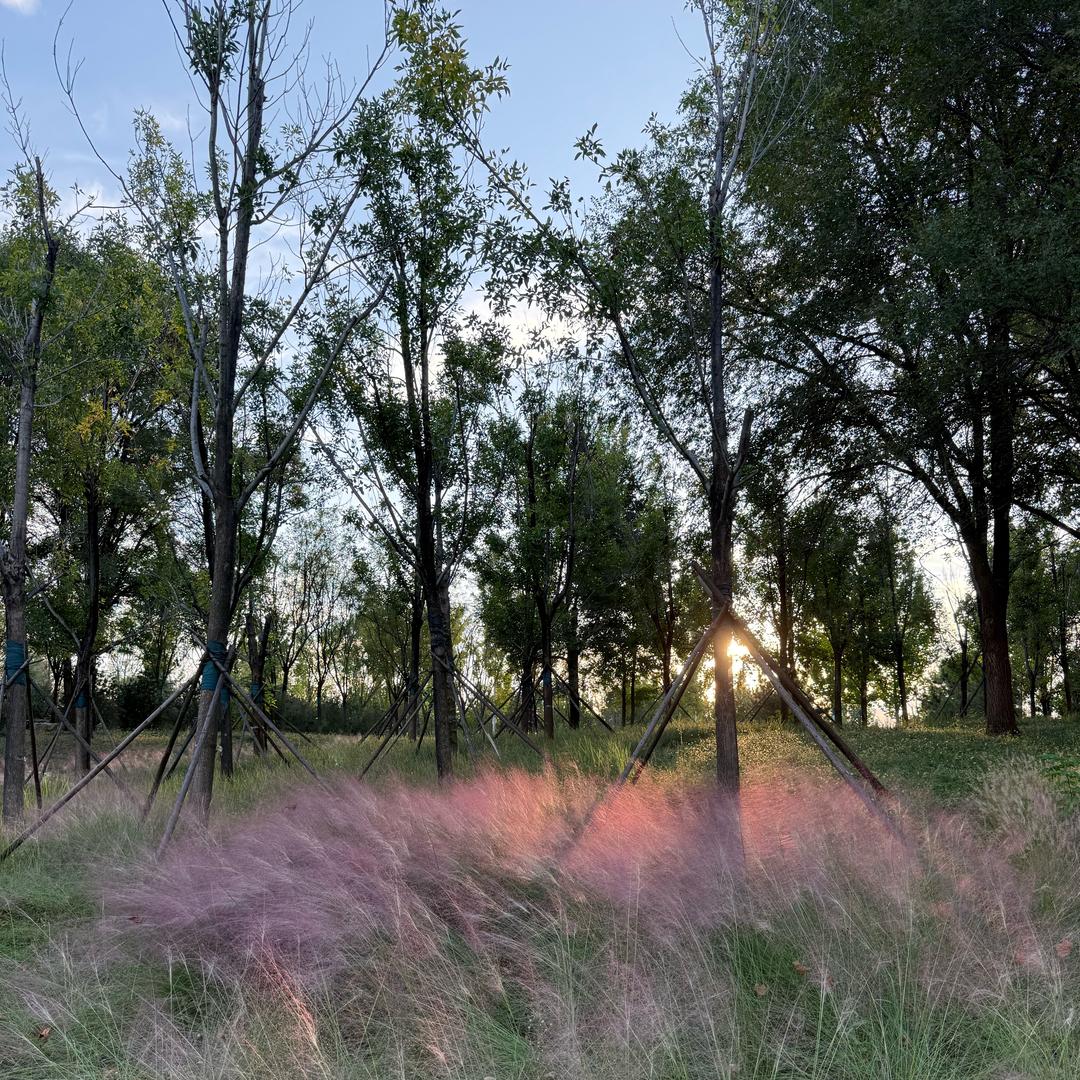 @小羊🐑要开心～