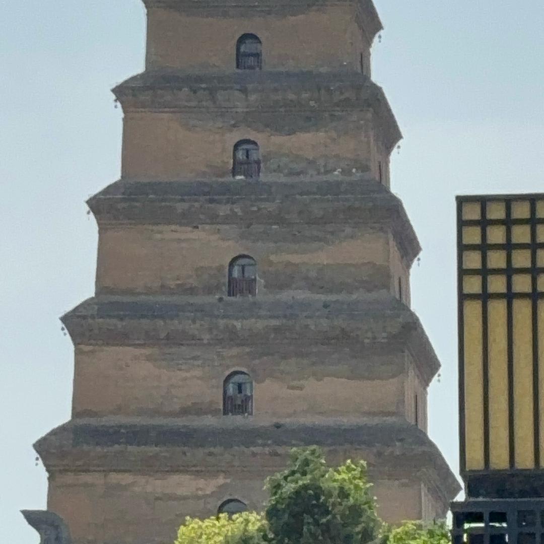 健身钉子户
