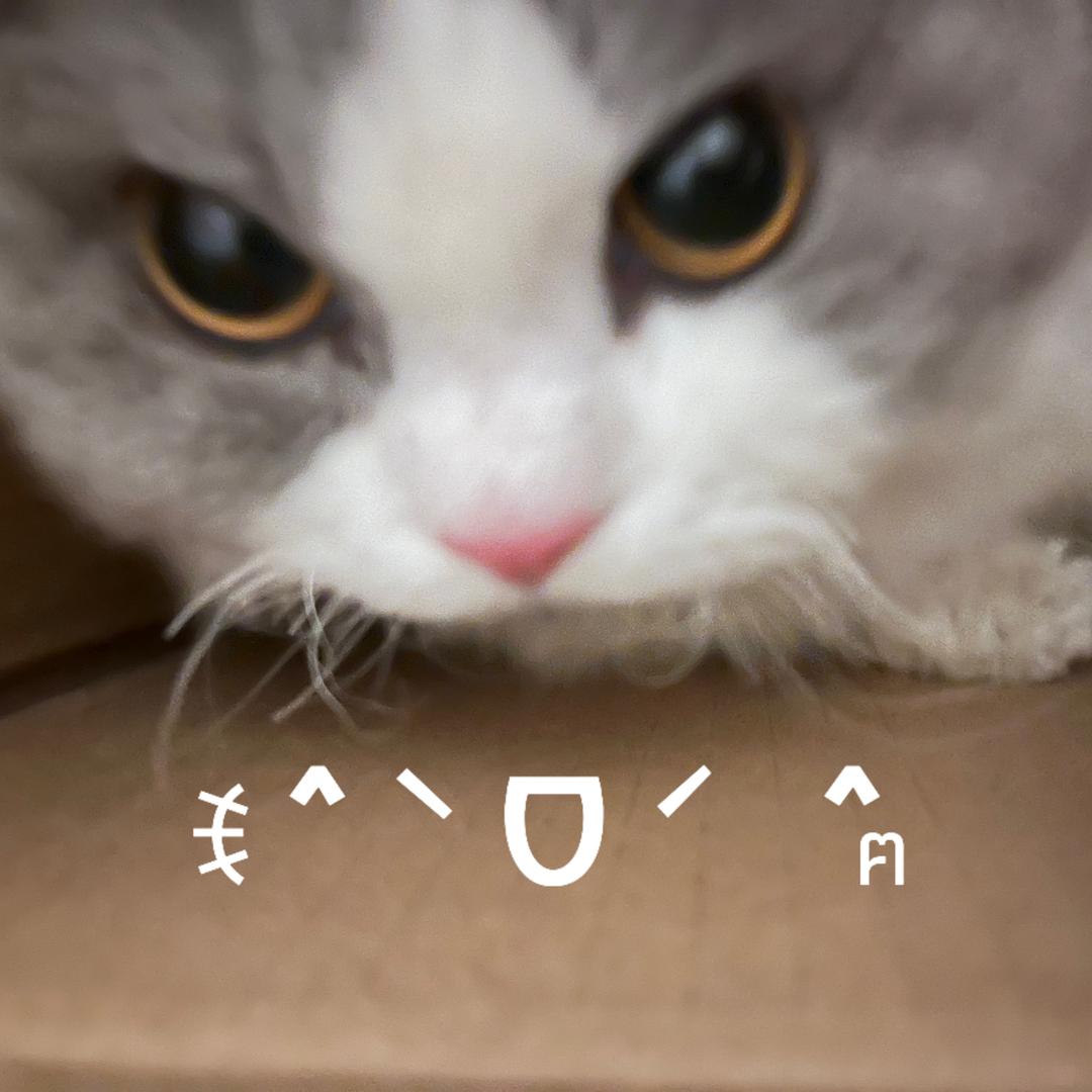 小貝