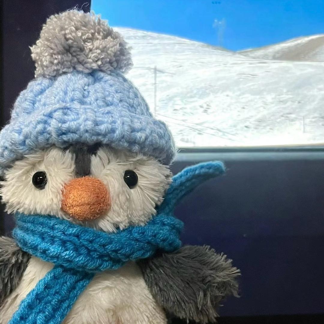 🫧泡泡茶壶📷