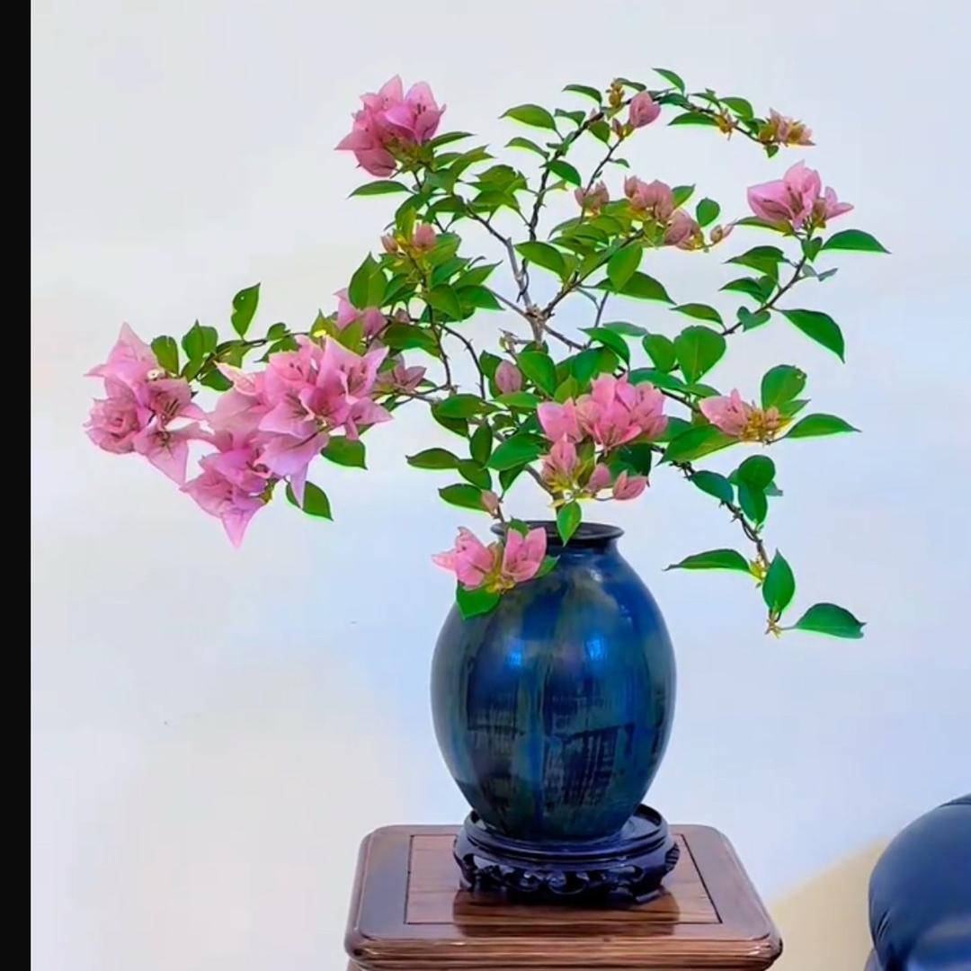 润芳姐的慢生活