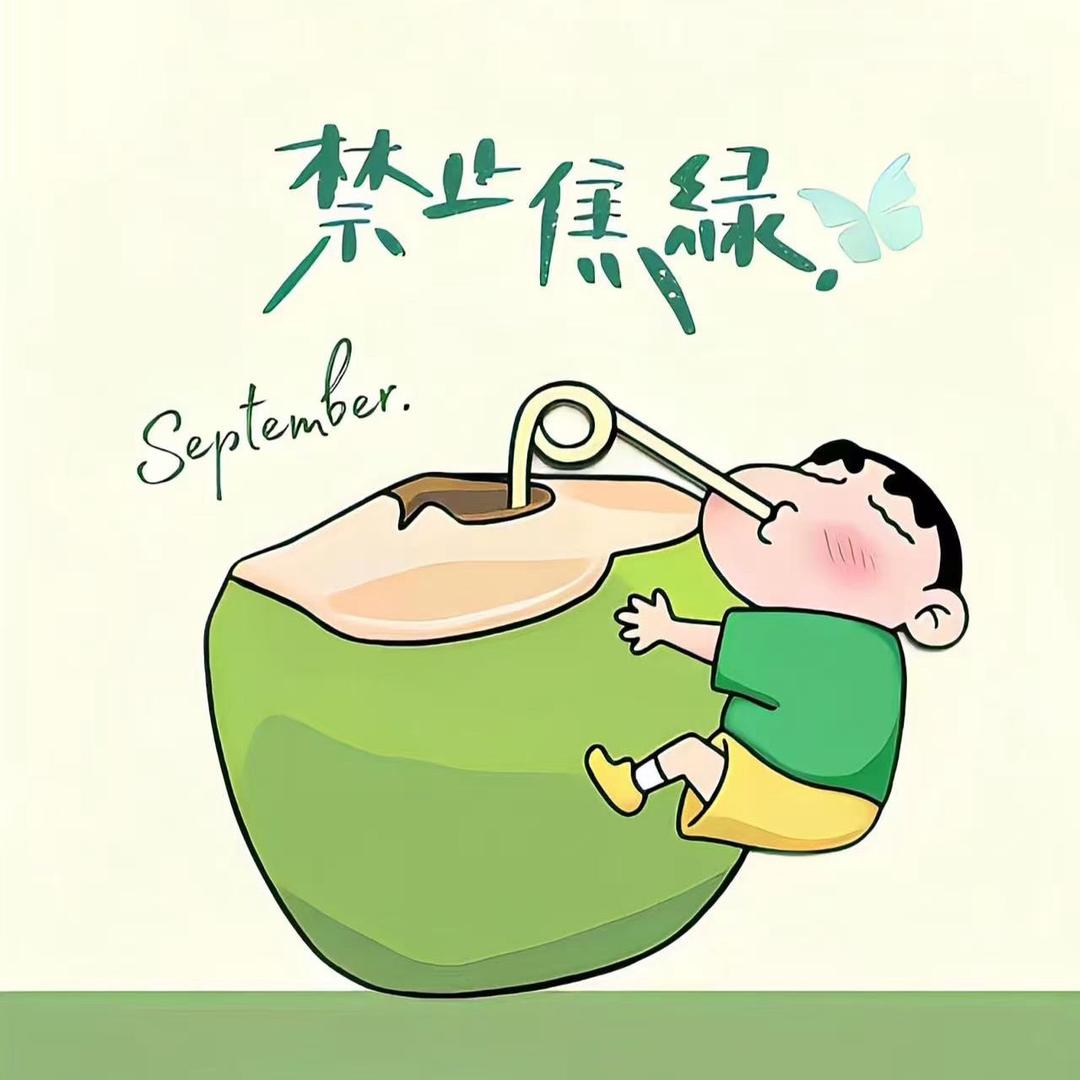 综合玩具店（多品类）🧸