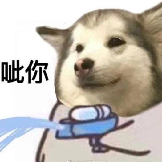 芃芃其麦👻