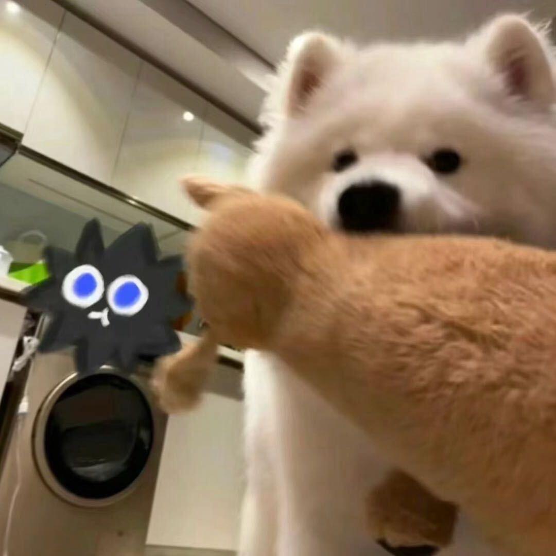 cc,