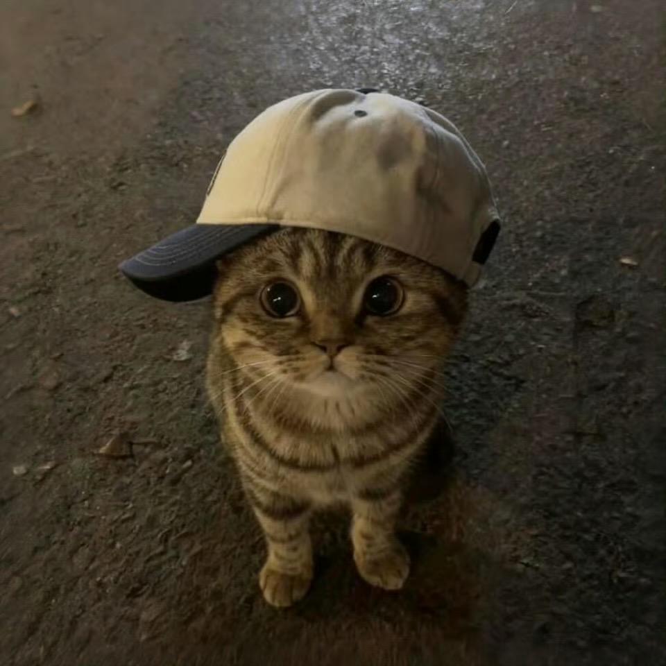 媳妇别哭了