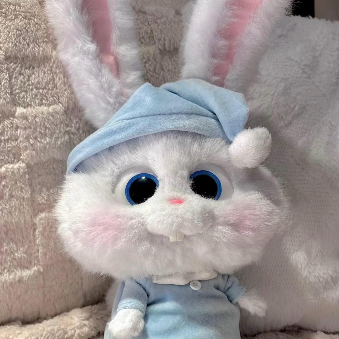 热爱生活的安安