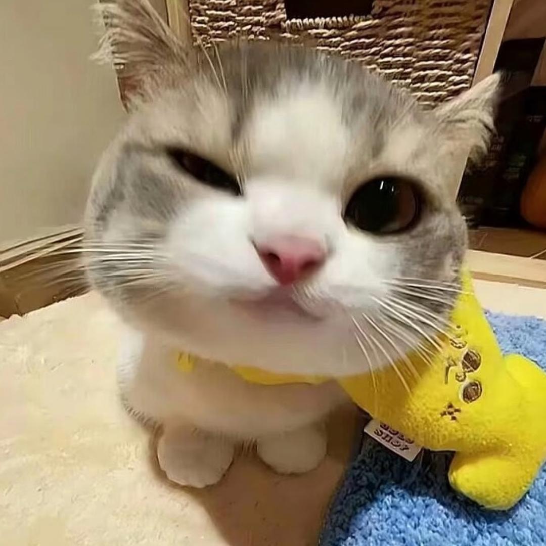 超级木木子