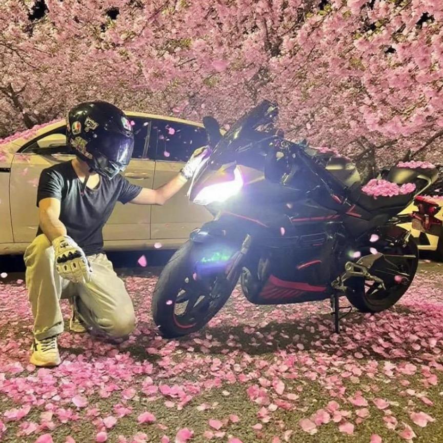 ༒陌生༻