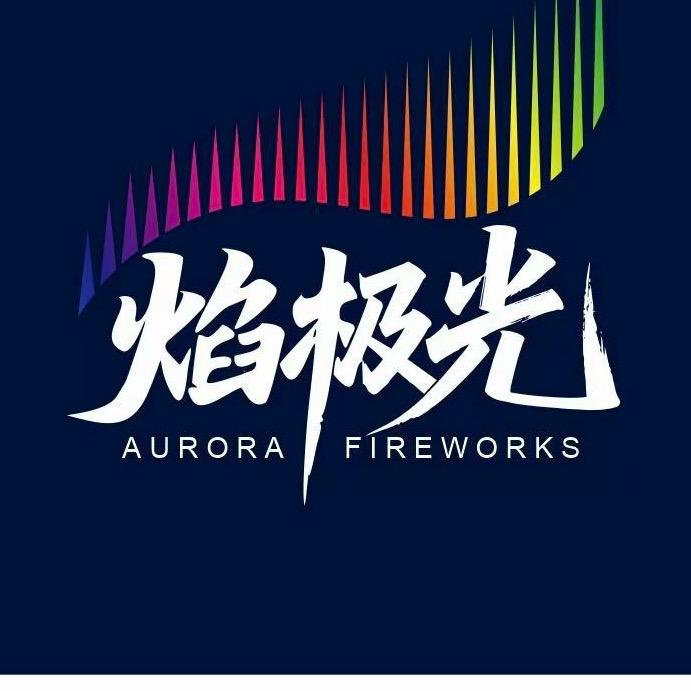 极光城市烟花：肖东