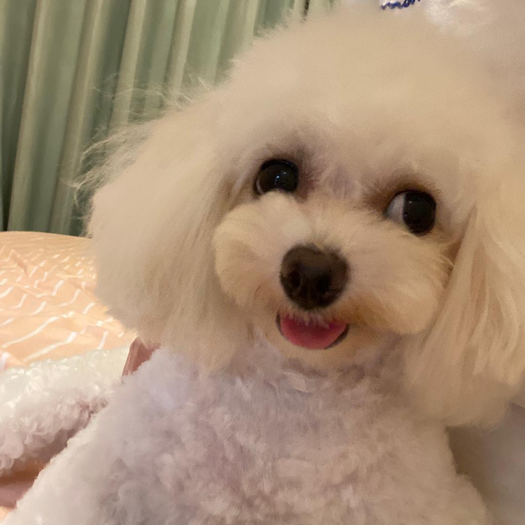 翁66🧸