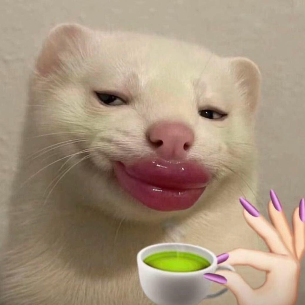 🐈