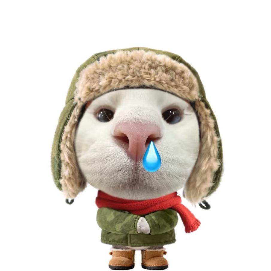 小司的小
