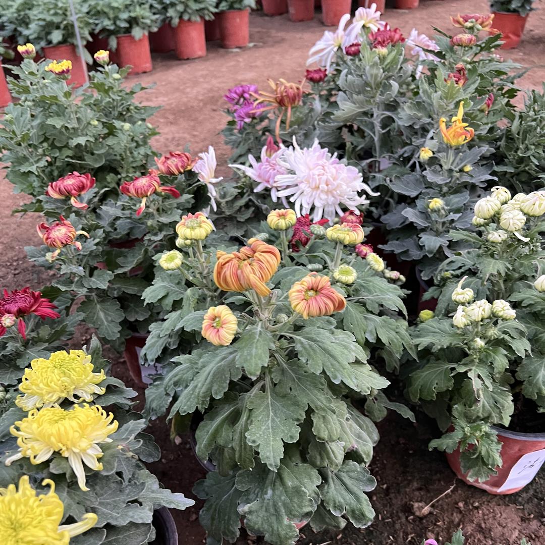 富坤农场优品小铺