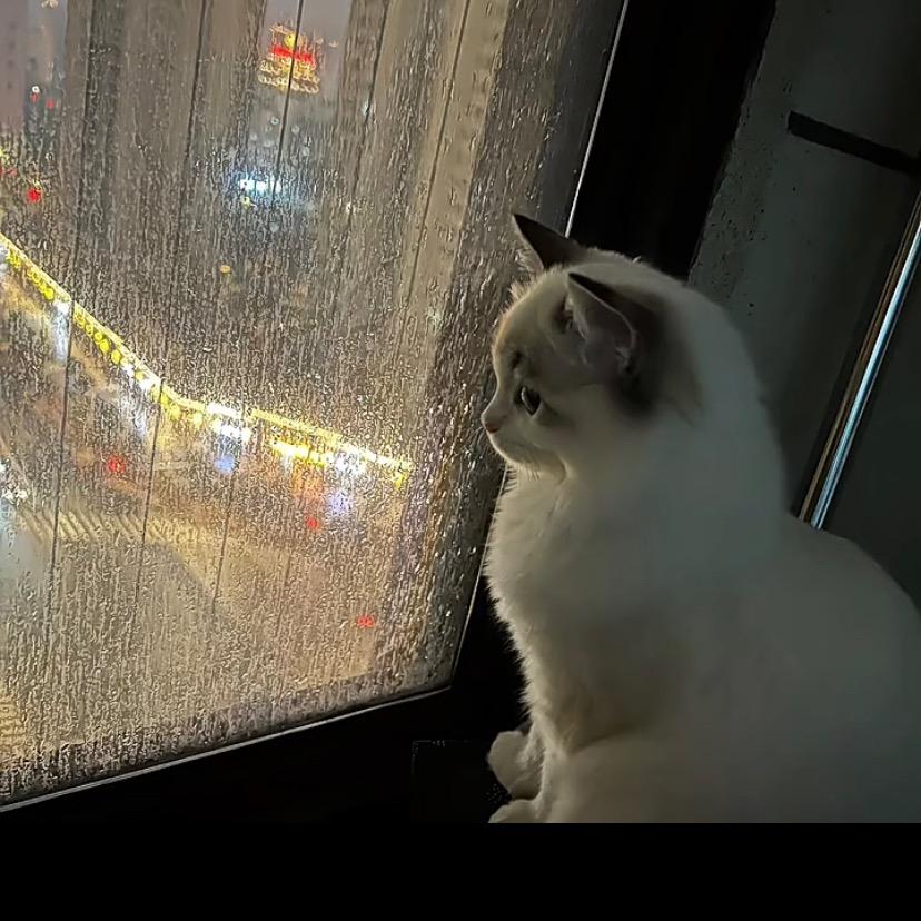 一生的错