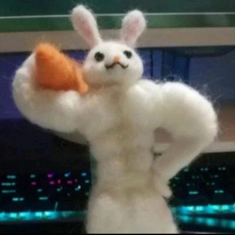猪皮恶霸