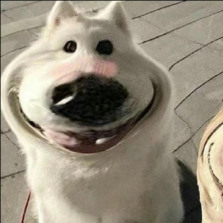 西葫芦