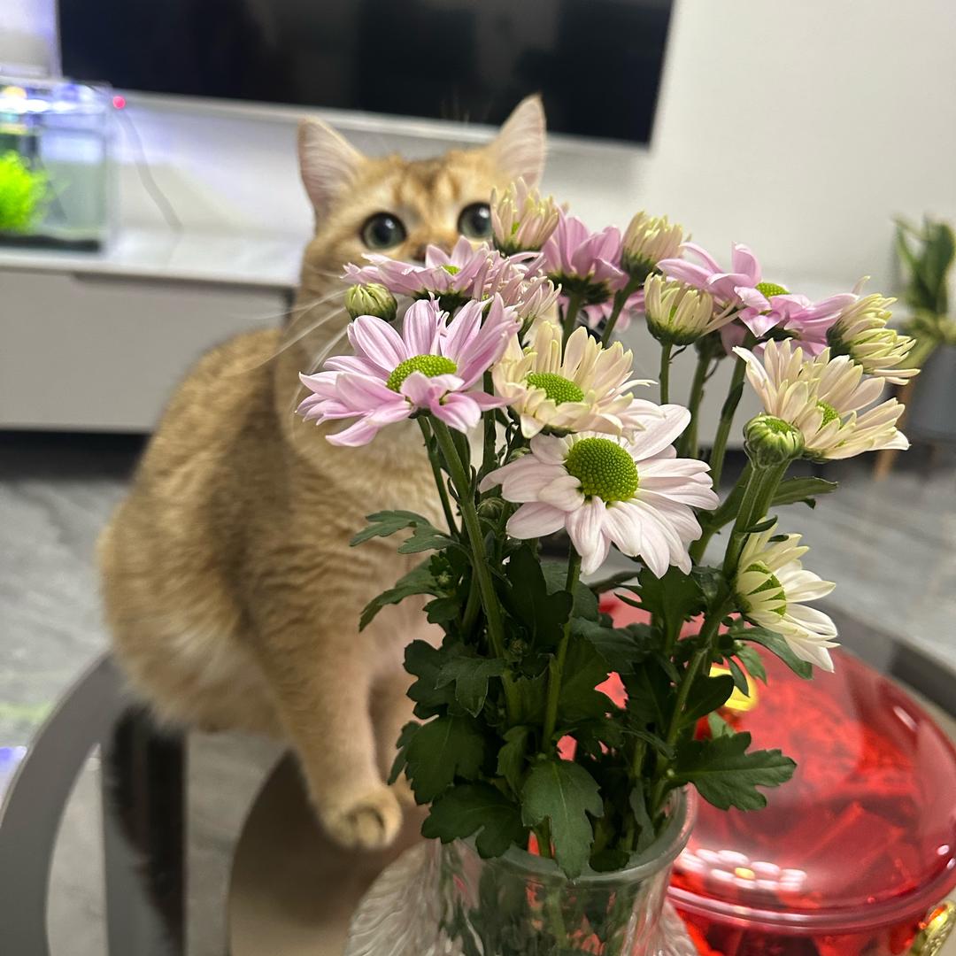 豆子发芽🌱🌱🌱