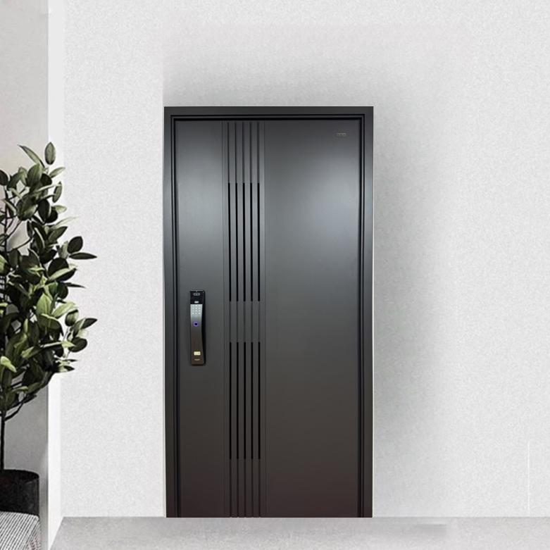 入户门防盗门1