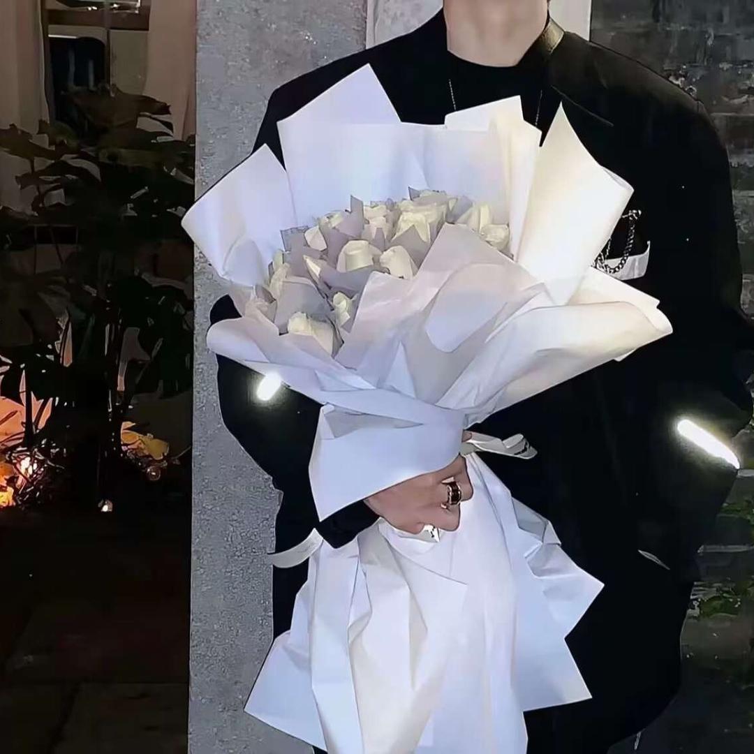 故里（保护公主）