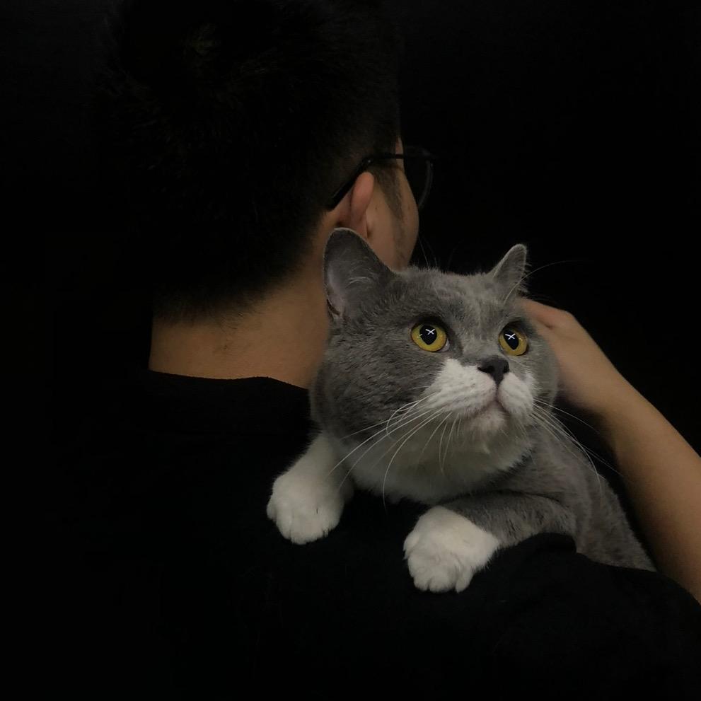 不乱花钱的李李