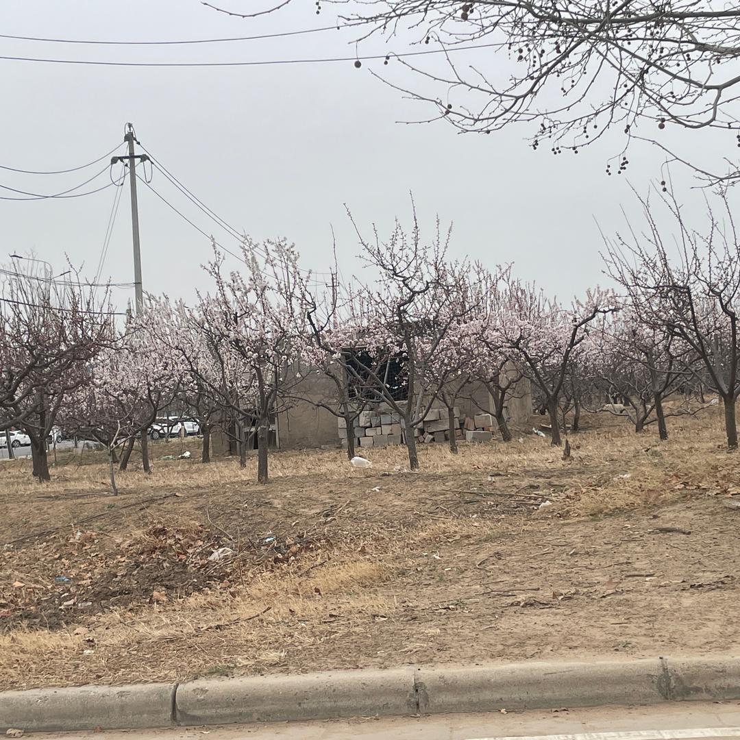 周工透明贴膜（开封）