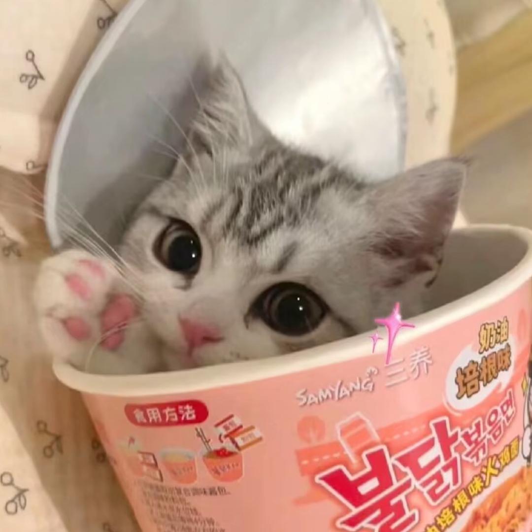 次饭 🍛•ᴗ•🥄