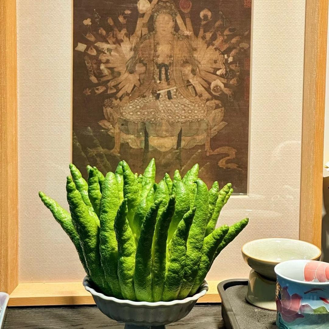 云南菓萃农副产品