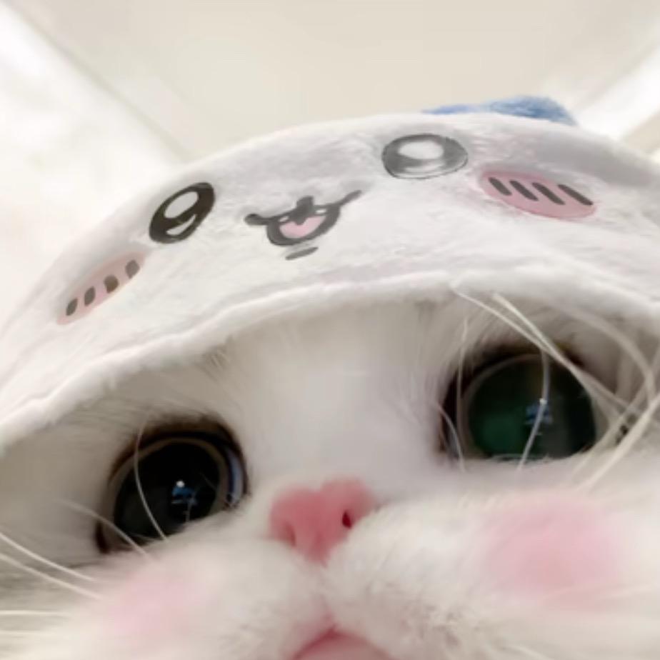 婧大beauty