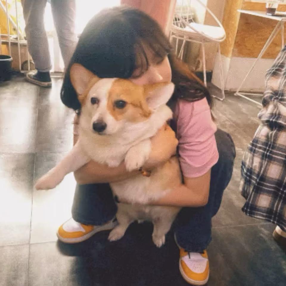 OvO