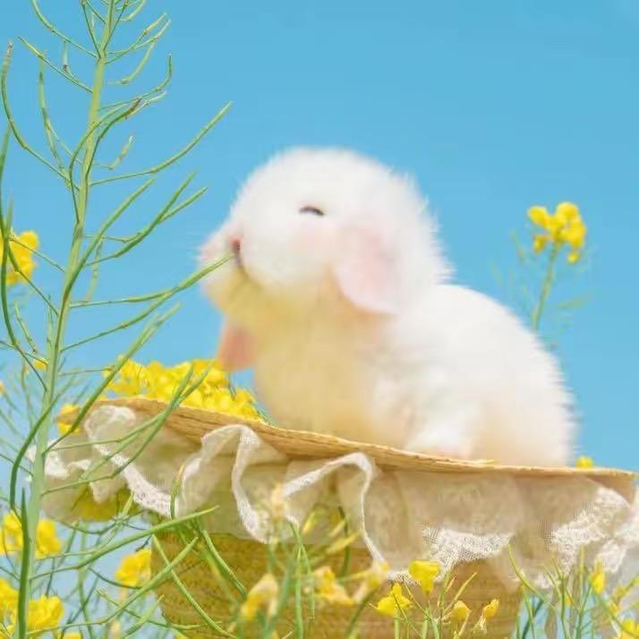 阳光明灭