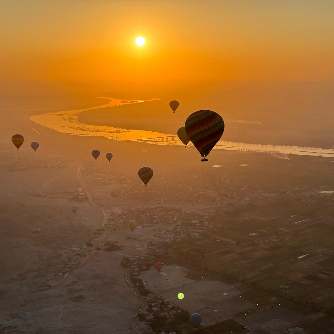 拼好饭年度金牌选手