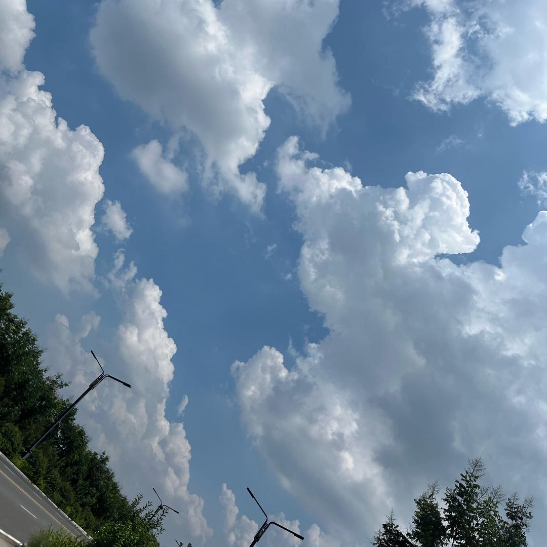仙女没烦恼