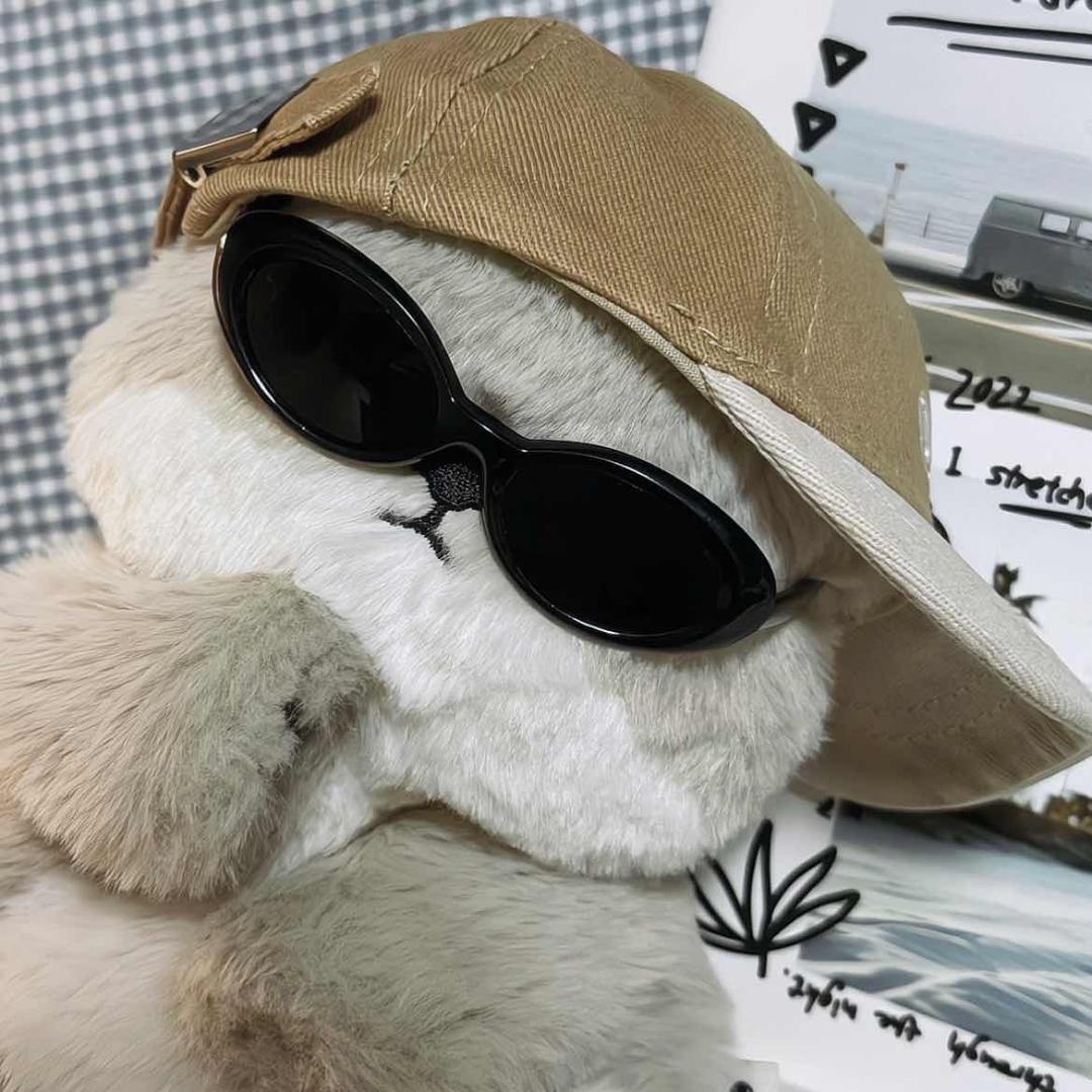 全能好物研究所