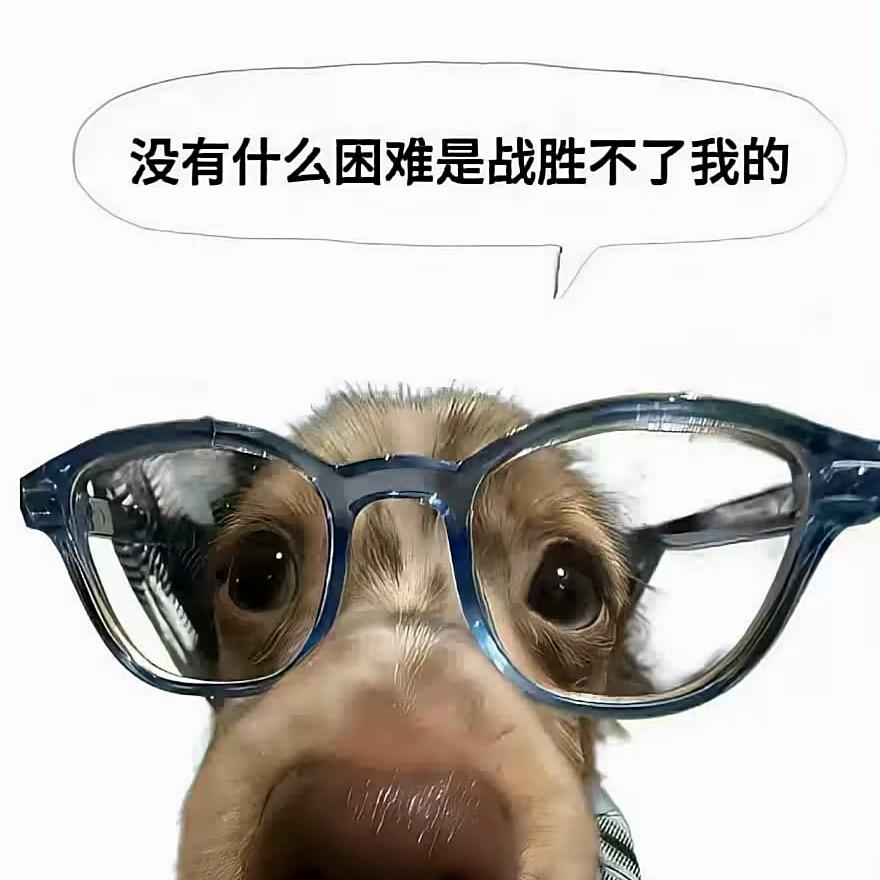 美女的事你少管