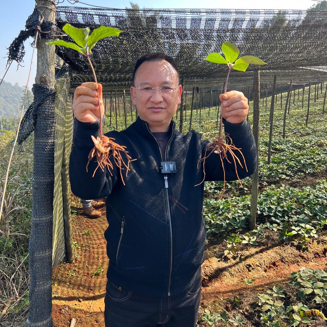 文山铭鑫农业