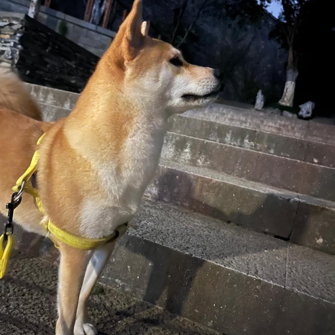 天气有点热