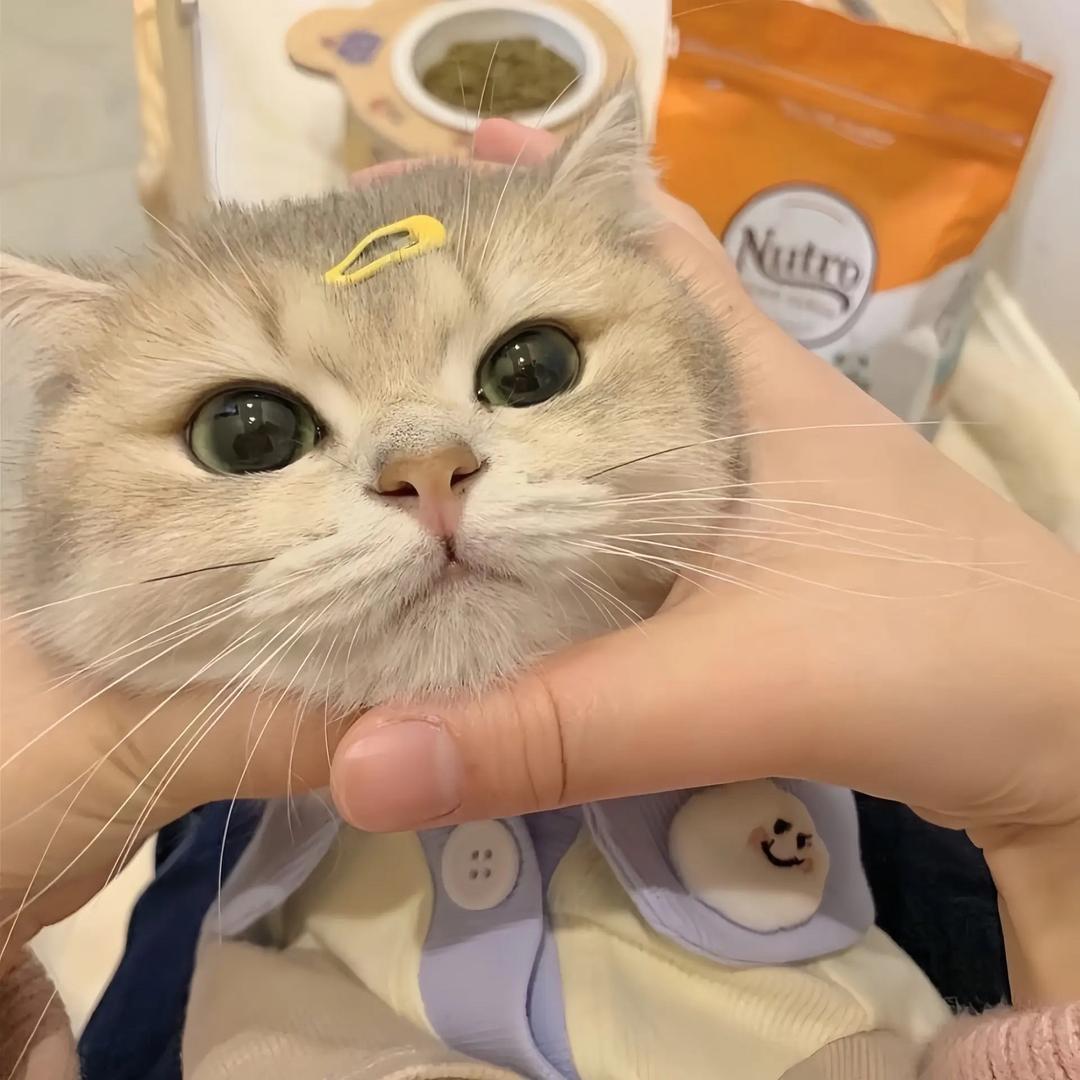辉光好物