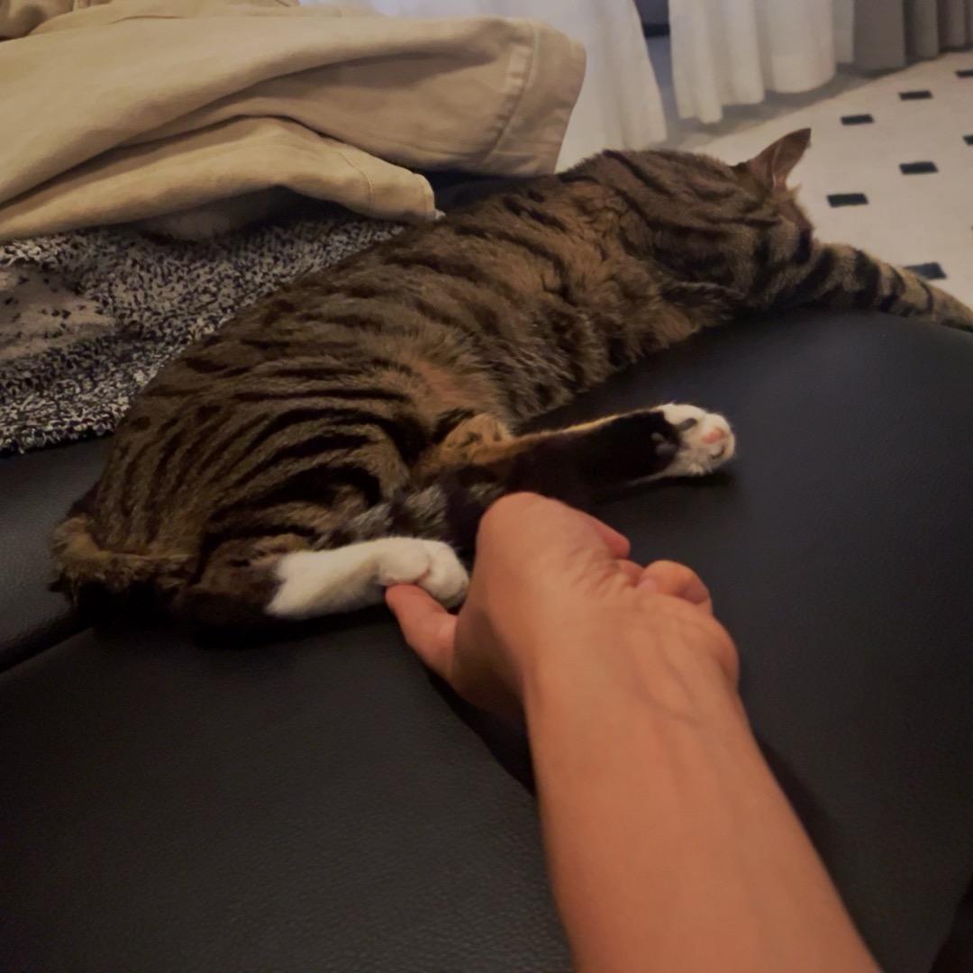 愉悦天自在叹