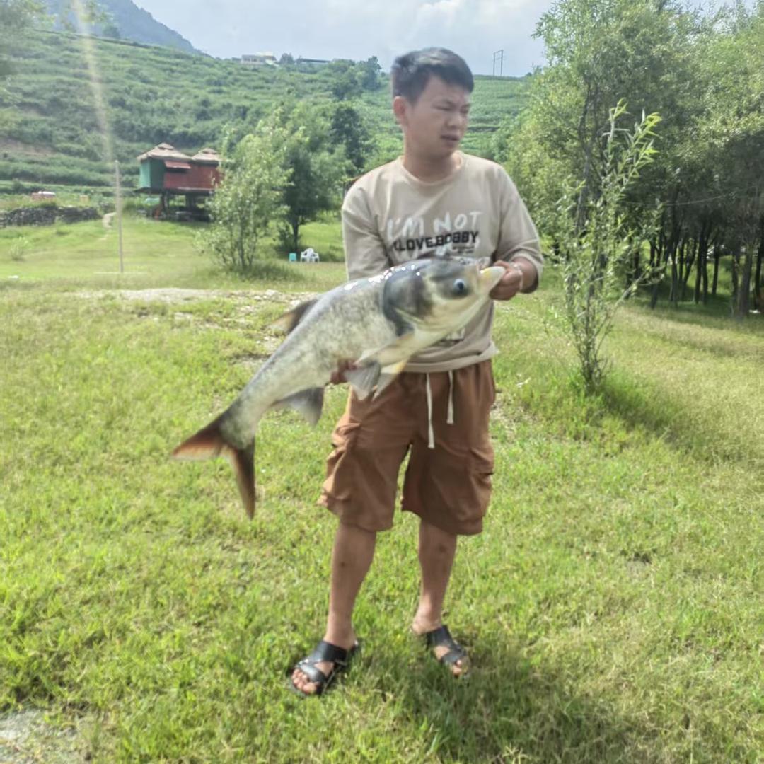 重生之我在三塘背背篼，